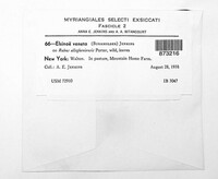 Elsinoe veneta image